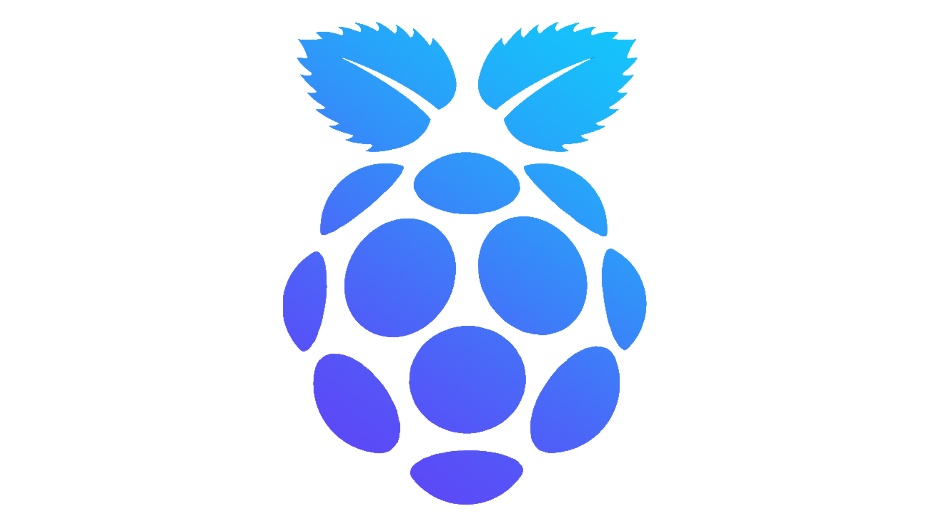 Raspberry Pi